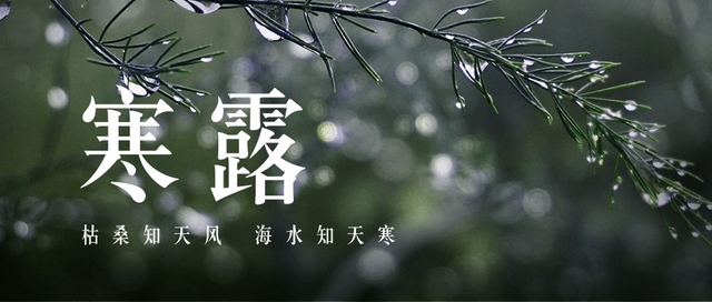 寒露|裊裊涼風(fēng)動，凄凄寒露零
